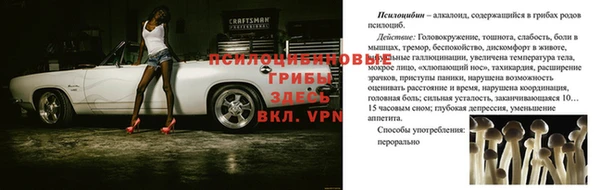 кокаин премиум Каменногорск