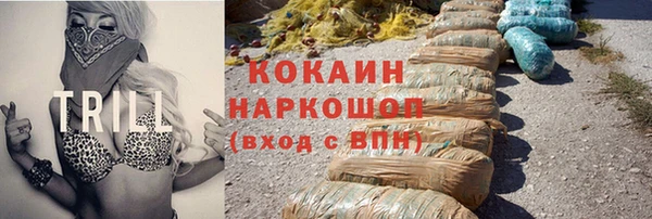 спиды Инта