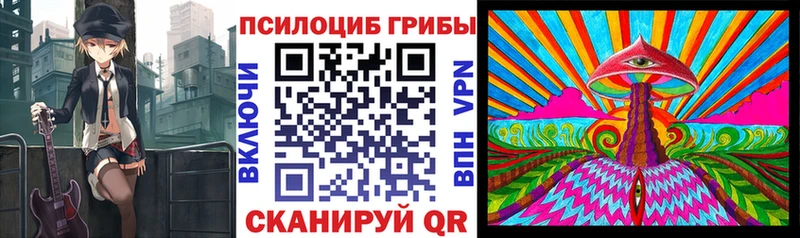 Купить закладки  Дмитров  Галлюциногенные грибы Cubensis 